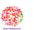 Our Products